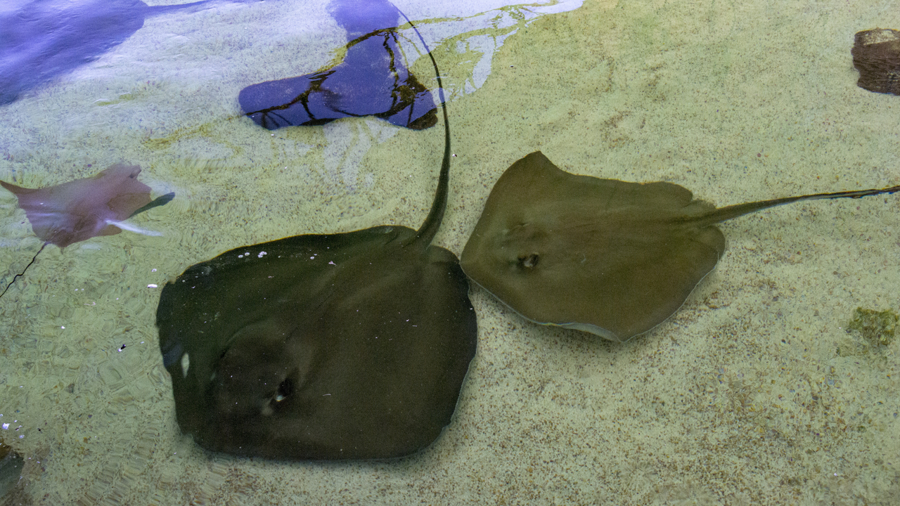 20160217-113228••Fort Walton Beach•Florida•USA